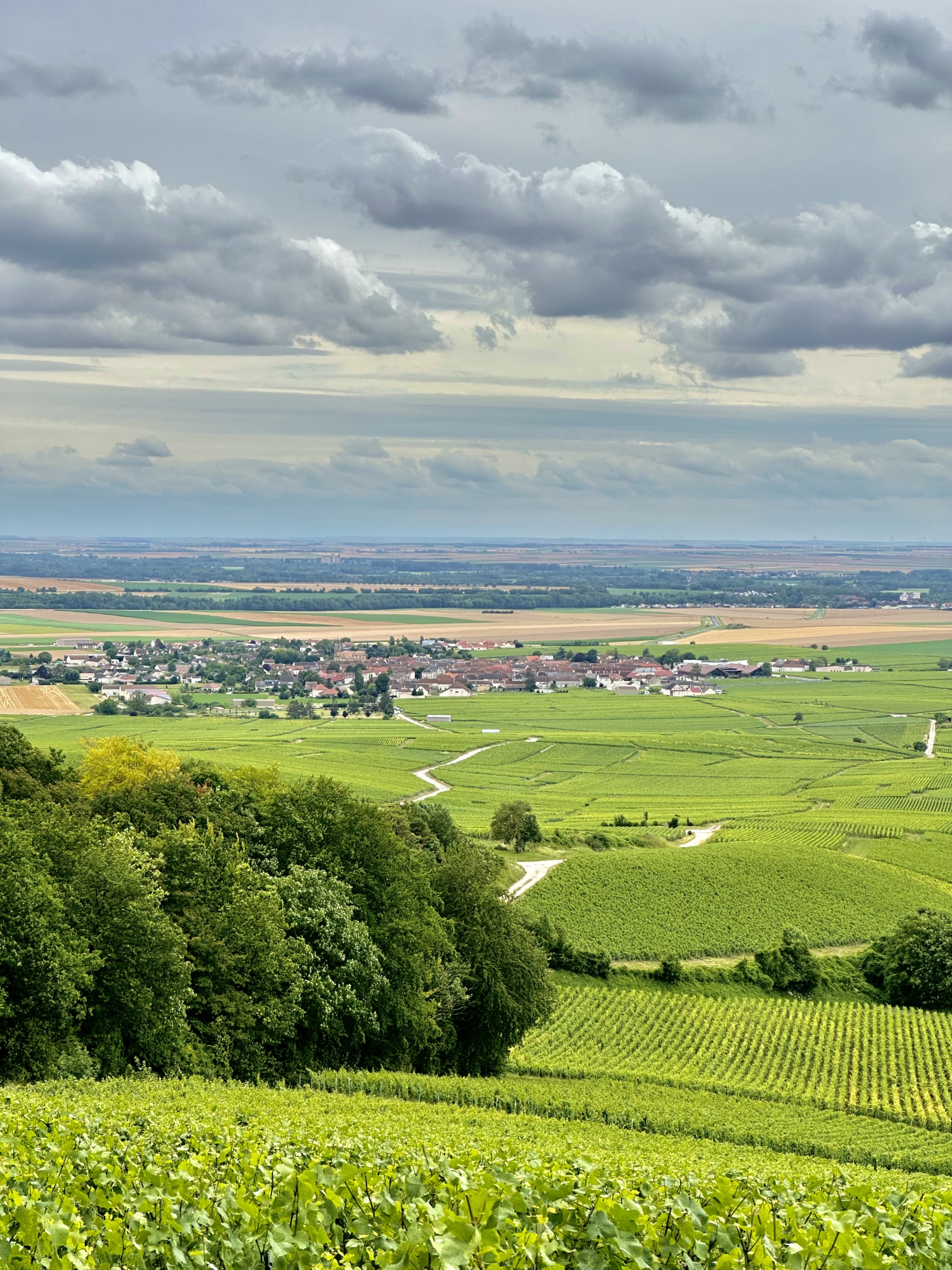 AMBONNAY vu de la forêt